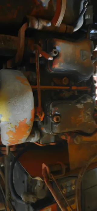 Pascuali 996 Motocultor