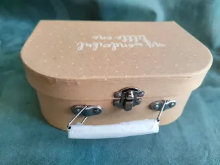 Muñeca Reborn en maletín con accesorios