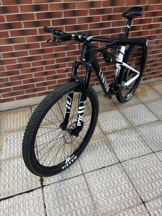 Bicicleta Canyon Lux World Cup Talla M