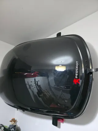 Cofre portaequipajes baca