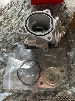 Válvula EGR OPEN PARTS EGR3002.00