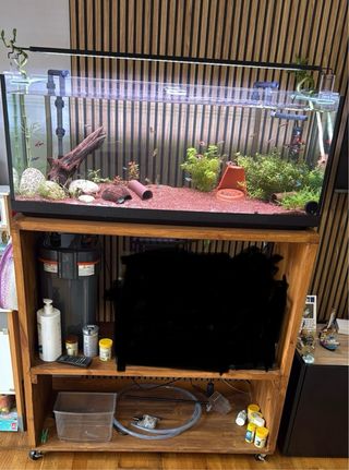 Acuario completo con filtro y accesorios