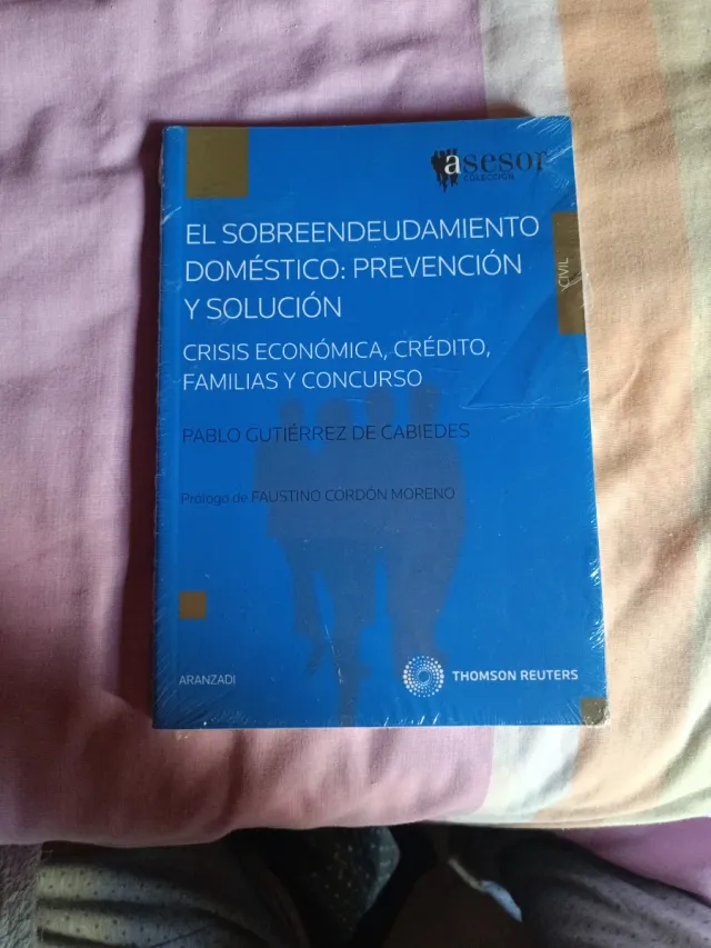 El sobreendeudamiento doméstico: Prevención y s...