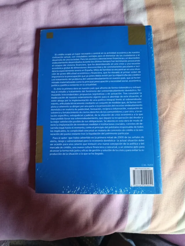 El sobreendeudamiento doméstico: Prevención y s...