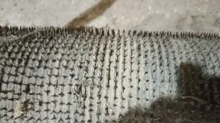 Recolector de aceitunas 70 cm