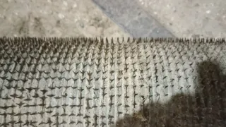 Recolector de aceitunas 70 cm