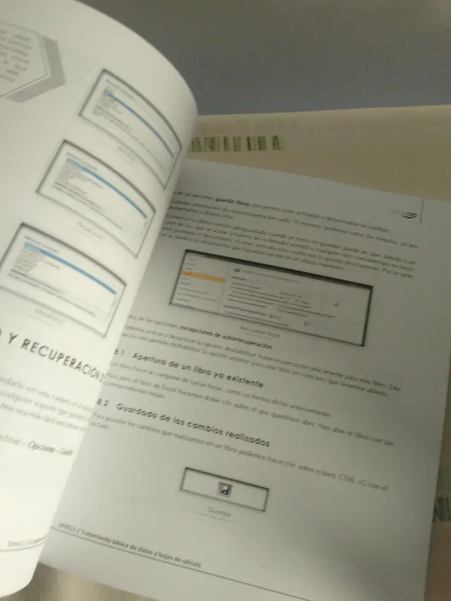 Manual. Tratamiento básico de datos y hojas de ...