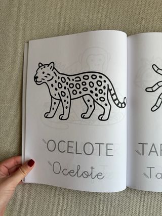Escribe y colorea: Animales del mundo
