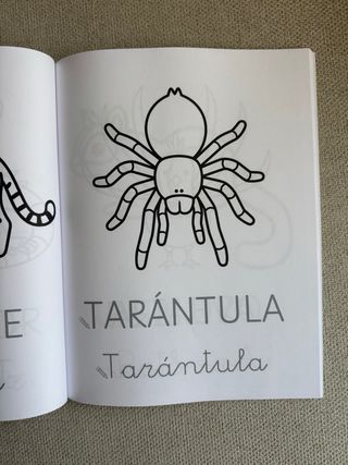 Escribe y colorea: Animales del mundo