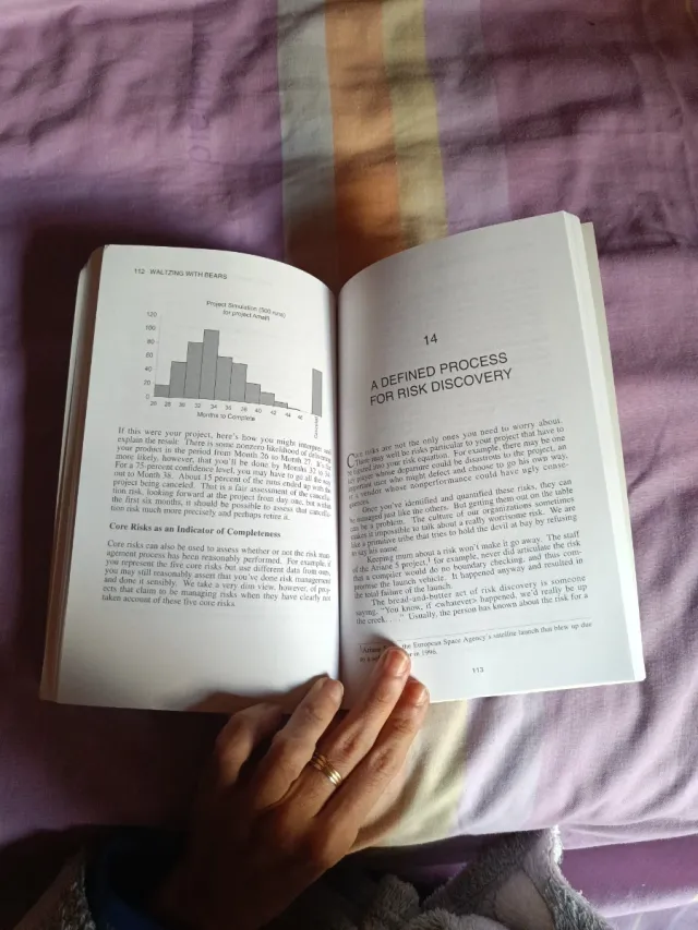 Waltzing With Bears: Managing Risk on Software ...