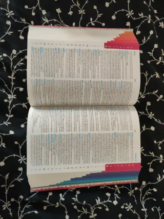 Diccionario Avanzado Primaria. Lengua española ...