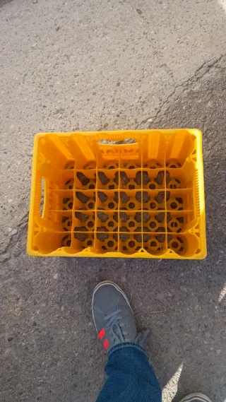 Scatole di birra Águila in plastica verde e scatola di Ámba