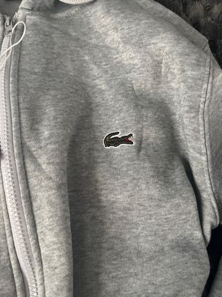 Chaqueta Lacoste Gris Talla M