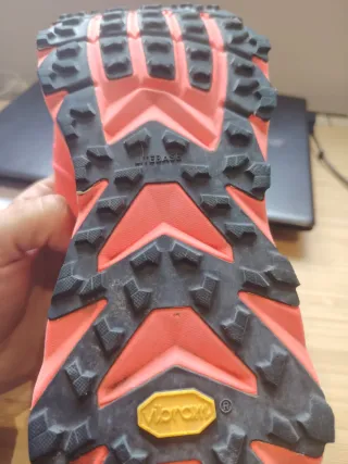 Zapatillas Altra Mont Blanc. Montblanc. Trail Runn