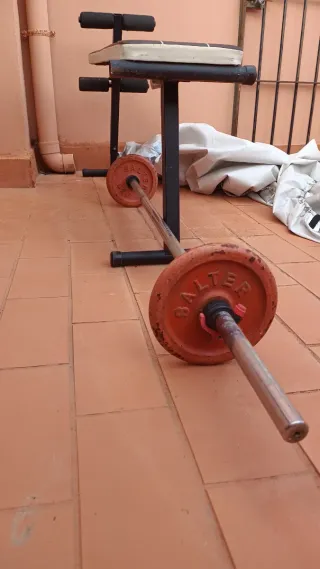 Banco, barra olímpica y discos Salter