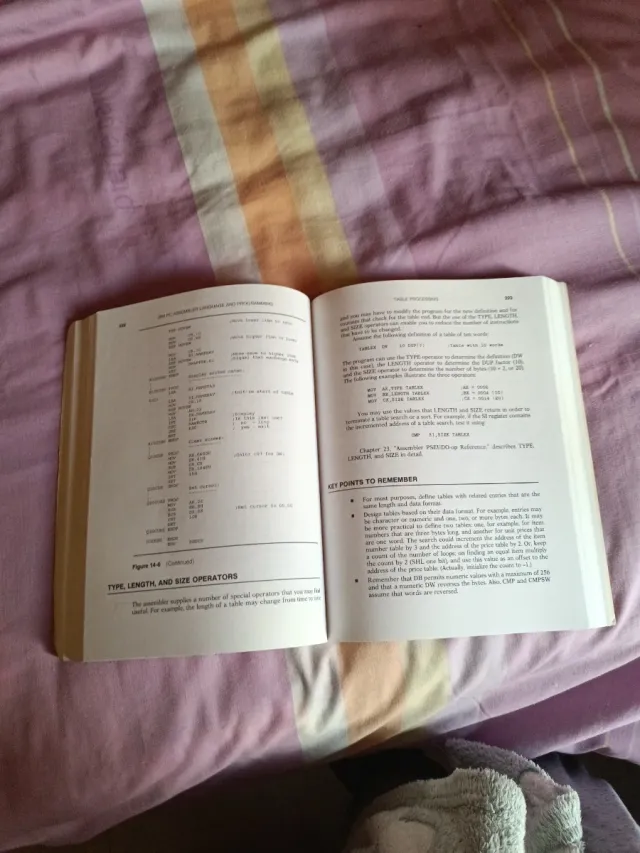 IBM PC Assembler Language and Programming