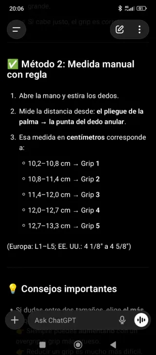 Raqueta Wilson powerholes 60