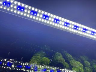 Acuario Juwel 240L con mueble