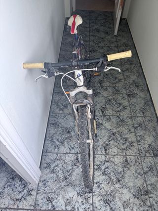 Bicicleta Scott para adulto
