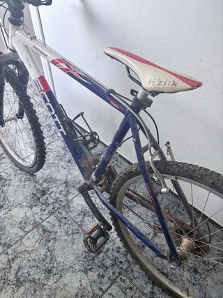 Bicicleta Scott para adulto