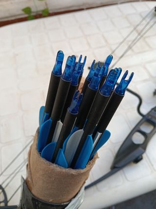 Arco de poleas semiprofesional + 12 flechas.