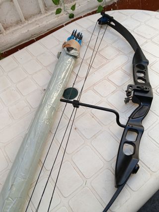 Arco de poleas semiprofesional + 12 flechas.