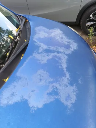 Volkswagen Beetle 2002