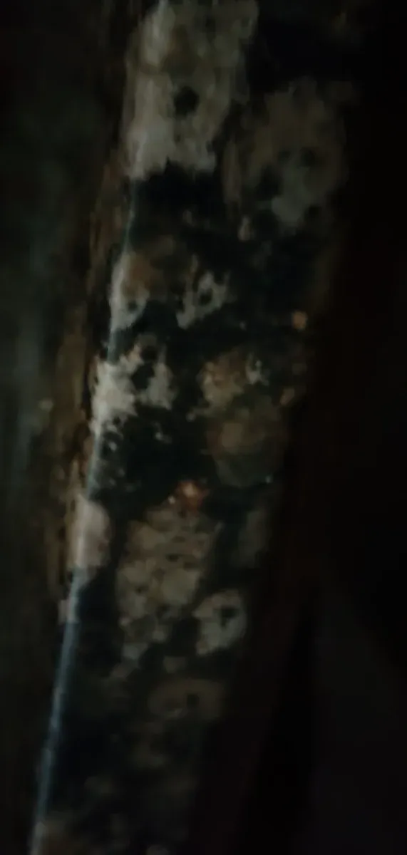 Encimera de mármol con vetas marrones