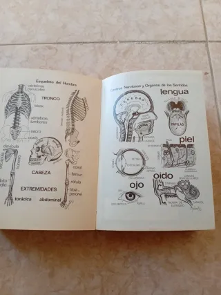 Diccionario español 1963