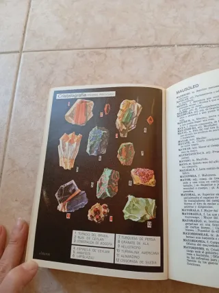 Diccionario español 1963