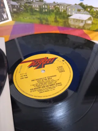 Vinilo 2 Originals of Ted Nugent