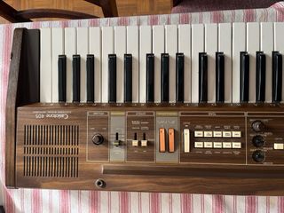 Teclado Casio Casiotone 405