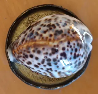 Set soprammobili decorativi vari