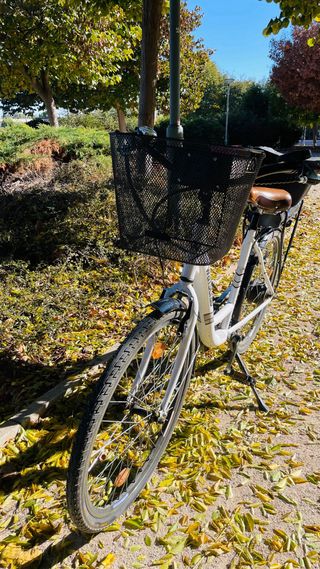 Bicicleta Eléctrica Wayscral Seminueva