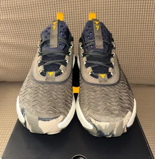Zapatillas Under Armour Project Rock 44