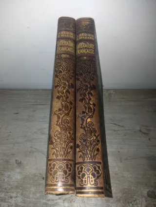 Historia de la literatura francesa ilustrada