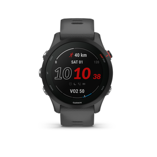 Reloj GPS GARMIN FORERUNNER 255 - Gris Pizarra
