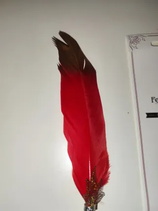 Pluma de escritura roja con detalles dorados