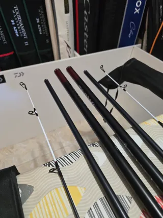 CAÑAS DAIWA NINJA SURF 200-420