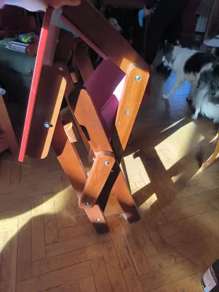 Mesa Plegable Frozen