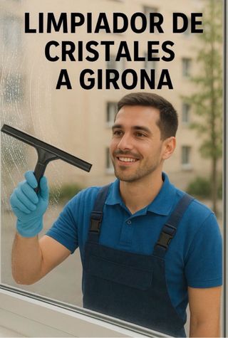 limpiador de cristales y persianas y ventanas