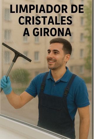 limpiador de cristales y persianas y ventanas