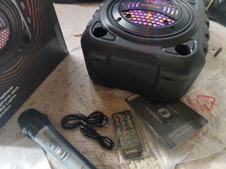 EARISE T26U Pro Karaoke con Micrófono