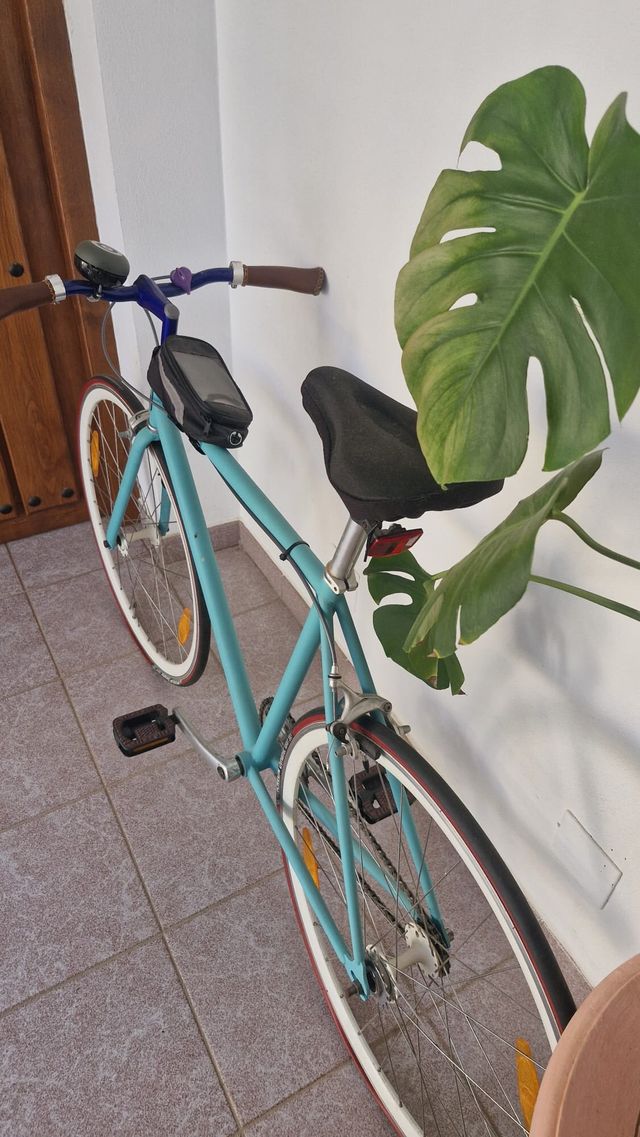 Bicicleta de piñon fijo Estilosa Renovada Mujer