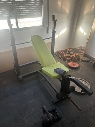 Banco de pesas y discos gimnasio