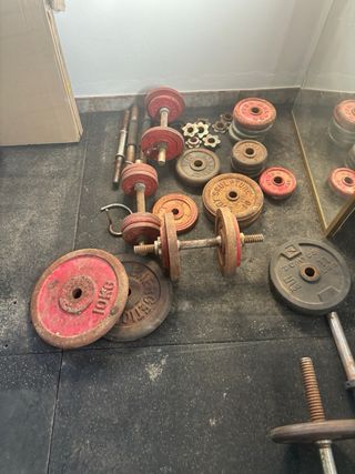 Banco de pesas y discos gimnasio