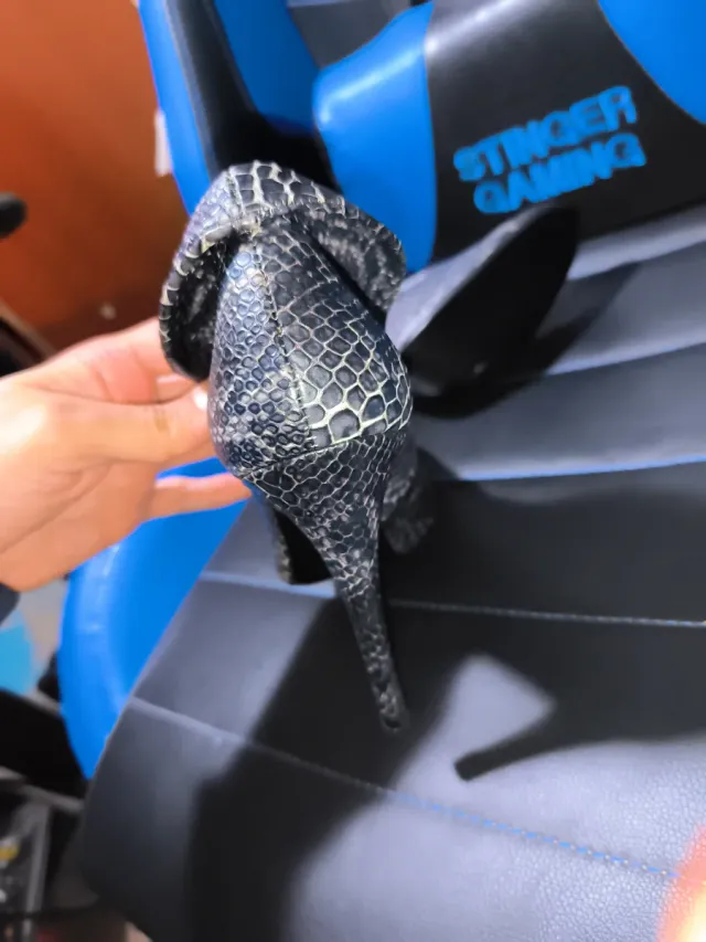Zapatos de tacón piel serpiente