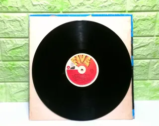 Vinile 33 Giri - “ Love Me Licia e i Bee Hive ”