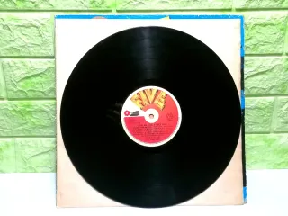 Vinile 33 Giri - “ Love Me Licia e i Bee Hive ”