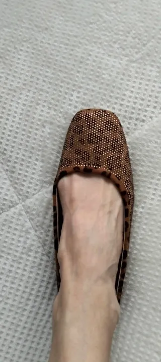 Bailarinas Marrones y Doradas